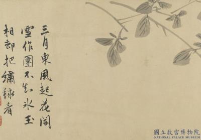 图片[3]-Flowers and Plants-China Archive